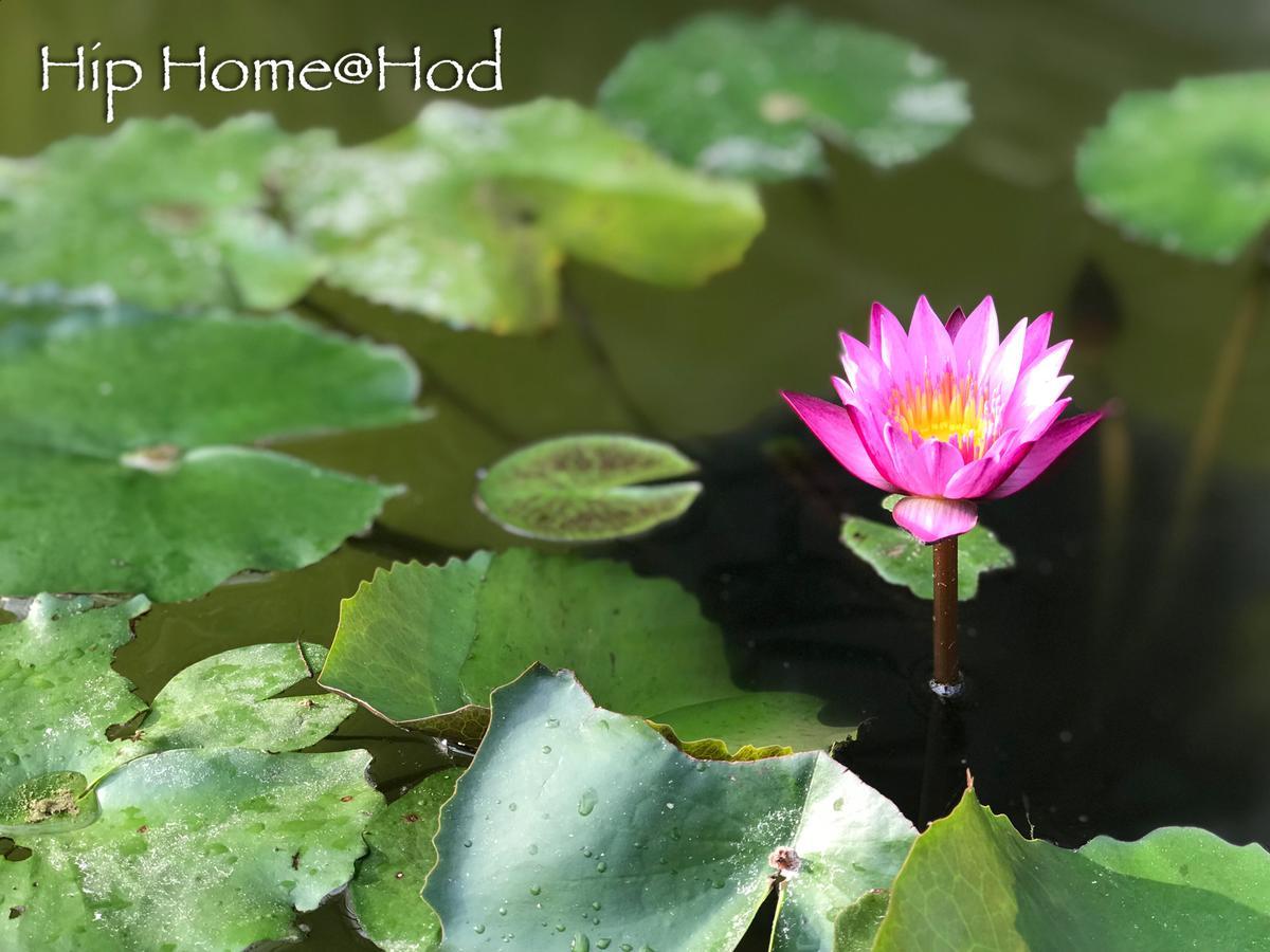 Hip Home At Hod Hot Exterior foto